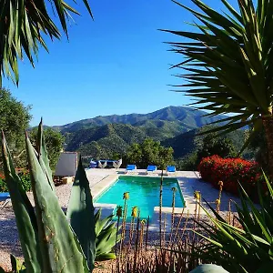 https://olive-branch.es-andalucia.com
